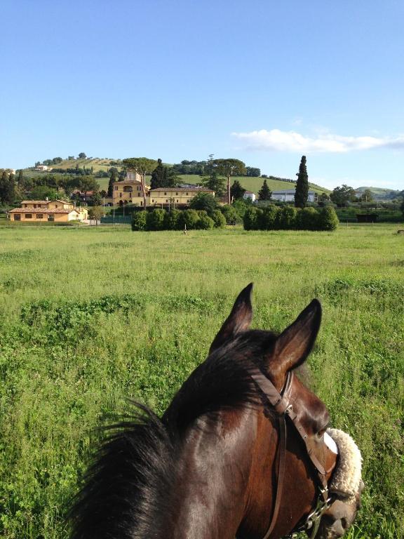 Agriturismo Villa Irelli Castellalto Exterior photo